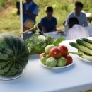 상가농장 이미지