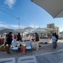 동백장 | [플리마켓]🌊 겨울 바다의 감성 속에서