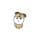 아카데미(755) | 취업이 이렇게 어려울줄 몰랐지: 취업현실, 취업 안 되는 이유 고찰 - 취준생 일기