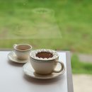 오설록 교차로 | 🚗 제주도렌트카 초보를 위한 안전 운전 가이드!