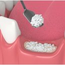 가우정인 이미지