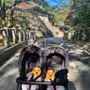 계룡산등산로(절) 이미지