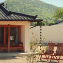 스테이 띠앗 이미지