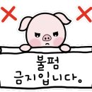 북경 선재도 본점 네이버블로그