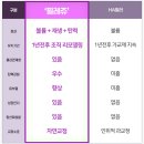 입체적인 얼굴 윤곽 라인은 맞춤 쁘띠성형으로 자연스럽게