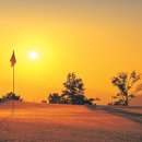 골프킹 아카데미 이미지