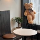 [반월당 카페] 귀여운 곰돌이는 귀여워 🐻 곰돌곰돌 대잔치 &#34;베어 베이커스&#34;