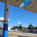 소나무세차장 이미지