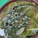 미락올갱이 | 생생정보 맛집 충북 옥천 '미락올갱이' 위치 가격 정보