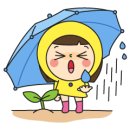 유명포장