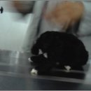 아롱이네 농장 이미지