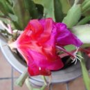 계양구 푸드마켓 이미지