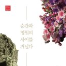 순간과영원
