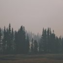 약대큰약국 이미지