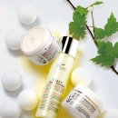 C-LINE(씨-라인) 이미지