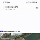 대전 효문화 뿌리축제 알림 이미지