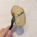 앙팡애견백화점 | 강릉 세인트존스호텔 '골져스 파셜 오션 트윈' 야놀자 라이브특가 감자빵SET 후기