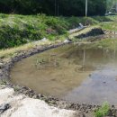 성기 농장 이미지