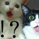 서림동-14 이미지