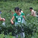 옹달샘꽃누름마을 이미지