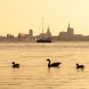 세무사거리 청솔A 방향 | MBTI 유형 별 소도시 창업 후 흔히 겪는 위기 상황과 대처법의 성공 사례