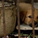 최정석농장 이미지