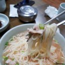 쉐돈