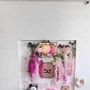 인생개컷 이미지