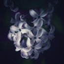 쉼 PC(연동점) | 난 소파에 누워 블로그 포스팅한다! 네이버 블로그 앱 SO GOOD!!