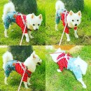 앙지스 | [의류] 앙지스 청멜빵바지