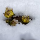 세상밖으로 이미지