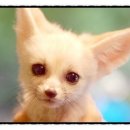 언덕 위 초록지붕 이미지