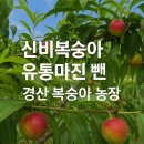 마진농장 이미지