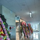 에이스복싱 이미지