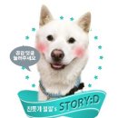 제이엘동물병원 네이버블로그