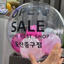 울산 제이앤독 애견샵 | LG전자 베스트샵 울산 중구점 펫가전 탐방 후기