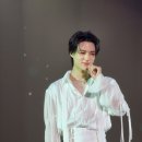 제노 이미지