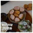 바다가고향 | [FOOD]부산 기장 고향연화 안심카츠 전복리조또 누아칩 웨이팅맛집 주차 내돈내산 솔직후기