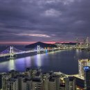 테넌바움294 이미지