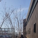 세븐일레븐정동진해변점 | [정동진-강릉] 가족여행/ mz코스로 맛집들 간 여행후기(+웨이팅)