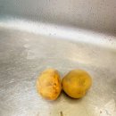 파슬리컴퍼니 주식회사 | 올스텐 에어프라이어 추천 리하스로 간단한 감자튀김 만드는 법!