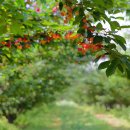 해도농장 이미지