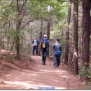 매봉약수 이미지