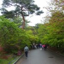 [예산] 덕숭산(德崇山)수덕사(修德寺) 2018.4.22 이미지