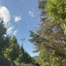 소백산약국 | [충북/단양] 소백산 근처 가을 산책_도담삼봉, 이끼터널, 카페 돌