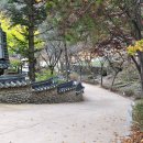 토담길 Daum카페