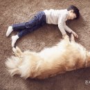 시그널동물병원 이미지