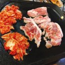 도야지천국