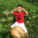 일만농장 이미지