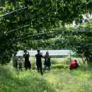 성지농장 이미지